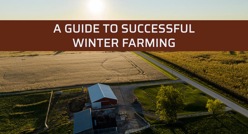 A Guide To Successful Winter Farming