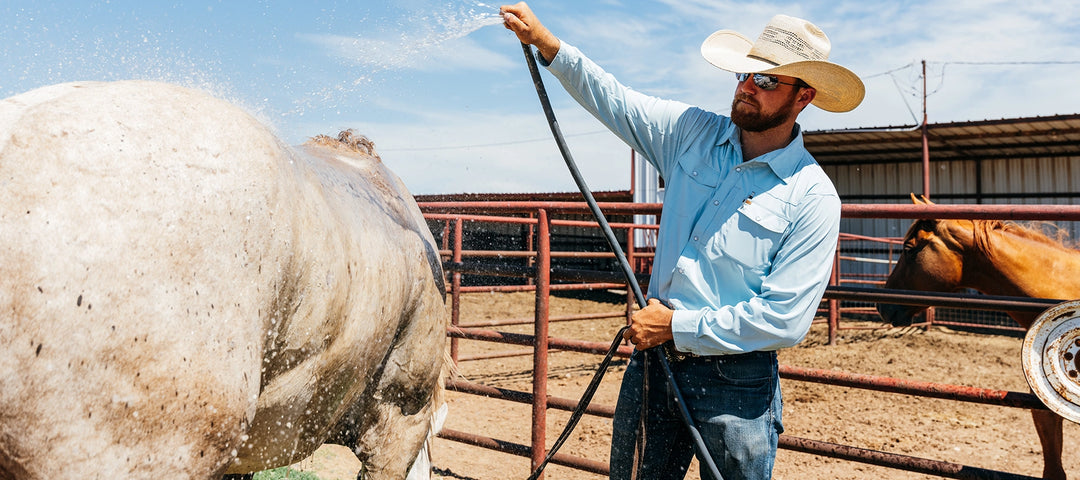 rancher washing his horse wearing a stockyard ranch shirt by AG-Gear