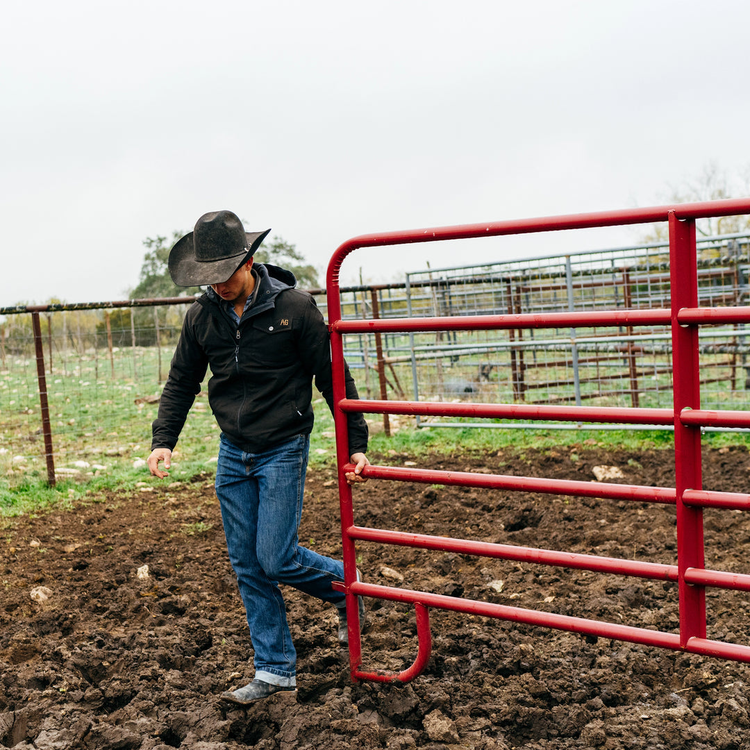 Choosing the Right Cattle Chute: A Comprehensive Guide