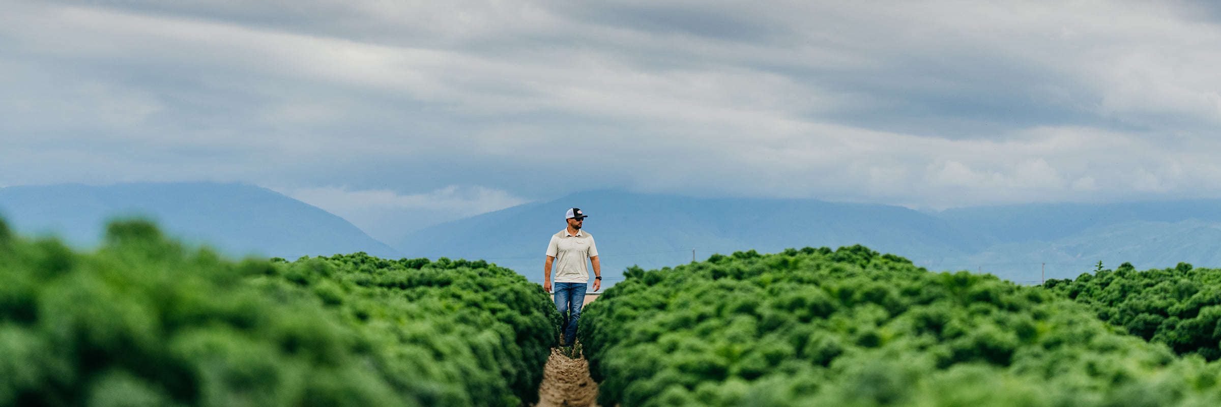 farmpro farm shirt vegetable field farmer rancher sun shirt