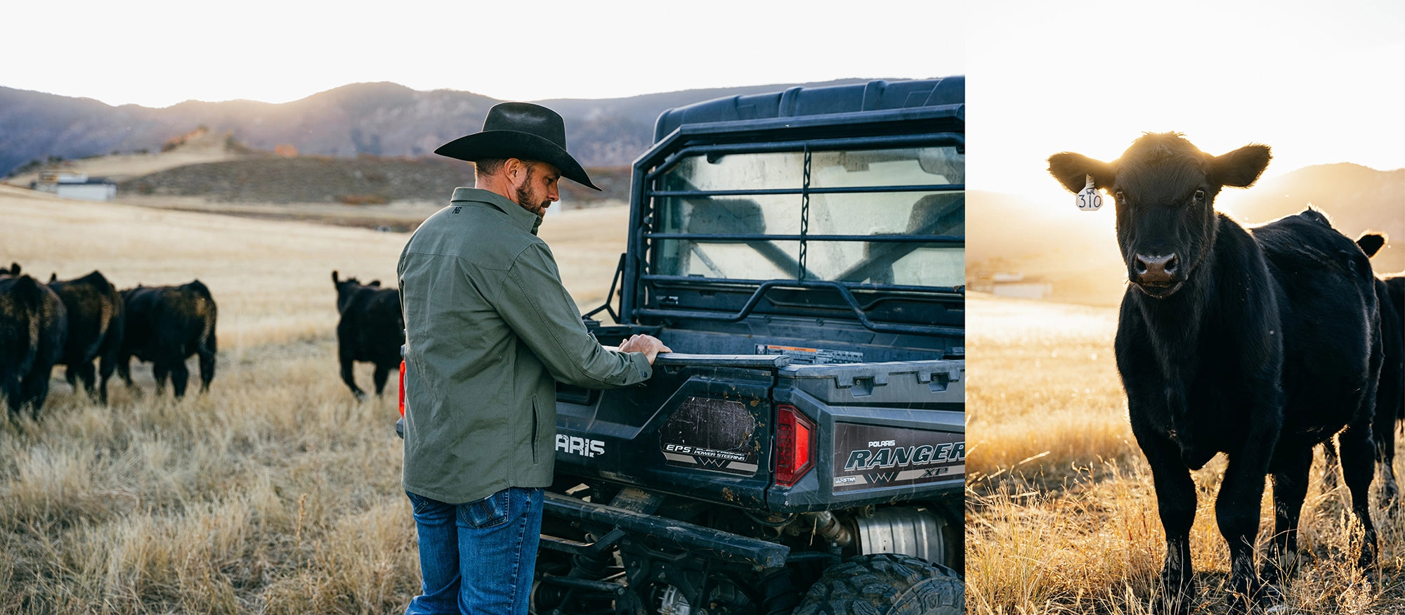 Cotton Overshirt, Farm Jacket, Classic Style, Buttons, Ranch Jacket ...
